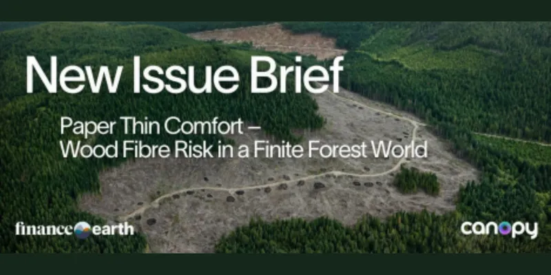 New Issue Brief Highlights Rising Risks for Wood-Dependent Supply Chains